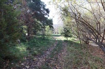 Enlarge photo 131