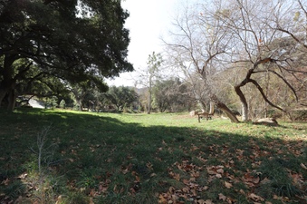 Enlarge photo 132