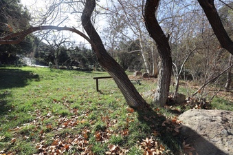 Enlarge photo 133