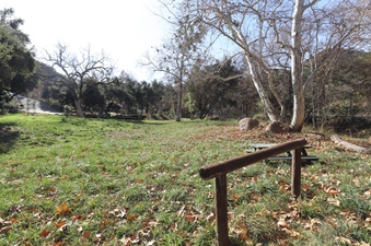 Enlarge photo 134