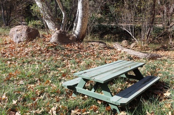 Enlarge photo 135