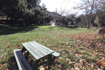 Enlarge photo 136