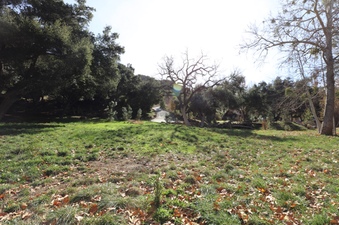 Enlarge photo 138