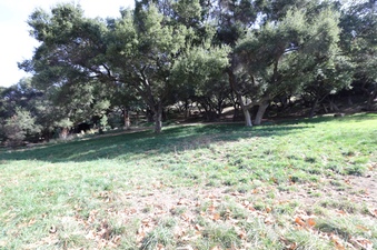 Enlarge photo 139