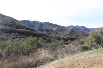 Enlarge photo 14