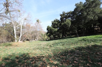 Enlarge photo 141