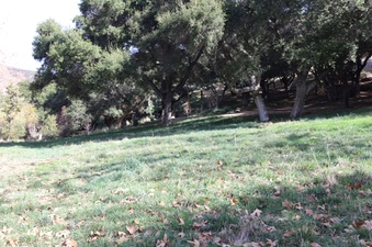 Enlarge photo 142