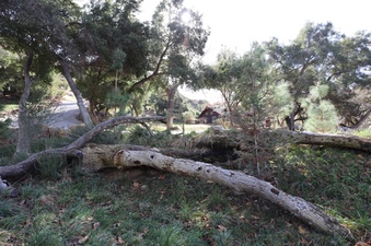 Enlarge photo 143