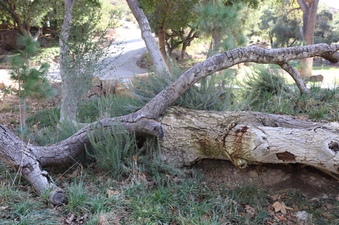 Enlarge photo 144