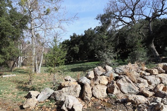 Enlarge photo 149