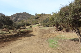 Enlarge photo 15