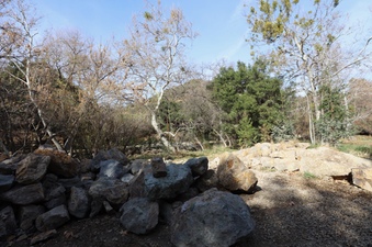 Enlarge photo 150