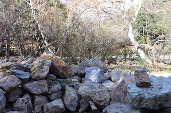 Enlarge photo 151