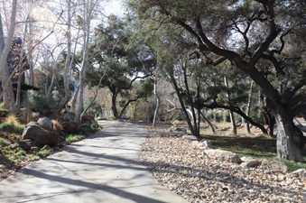 Enlarge photo 154