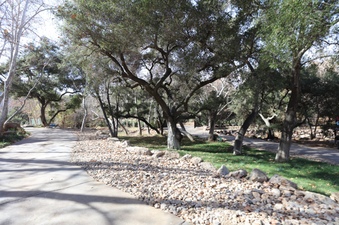 Enlarge photo 155