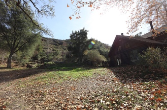 Enlarge photo 156