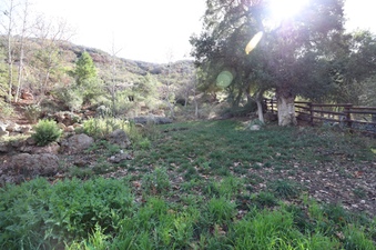 Enlarge photo 157