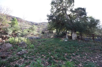 Enlarge photo 159