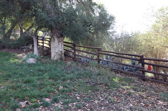 Enlarge photo 158