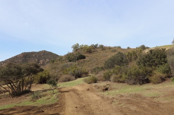 Enlarge photo 16