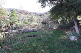 Enlarge photo 160