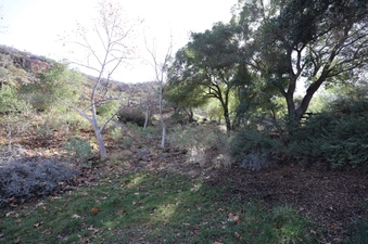 Enlarge photo 161