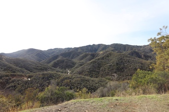Enlarge photo 17