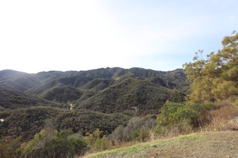 Enlarge photo 18