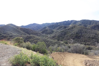 Enlarge photo 19