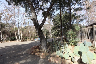 Enlarge photo 212