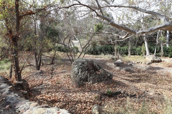 Enlarge photo 219