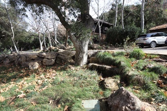 Enlarge photo 220