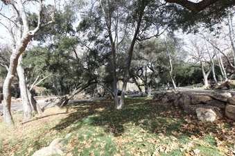 Enlarge photo 221