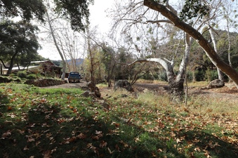 Enlarge photo 222