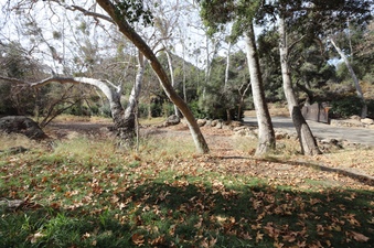 Enlarge photo 223