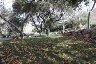 Enlarge photo 224