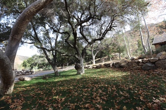Enlarge photo 225