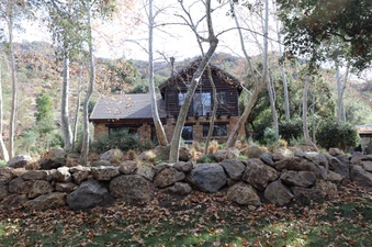 Enlarge photo 226