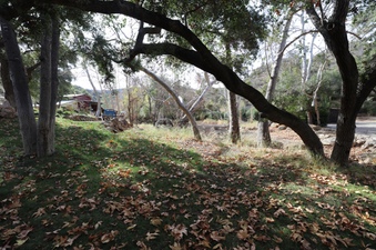 Enlarge photo 227