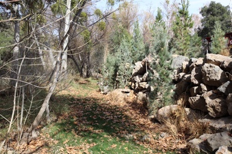 Enlarge photo 228