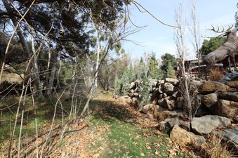Enlarge photo 229