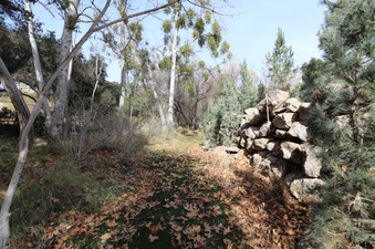 Enlarge photo 230