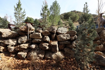 Enlarge photo 231