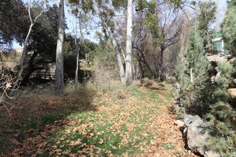 Enlarge photo 233