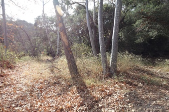 Enlarge photo 235