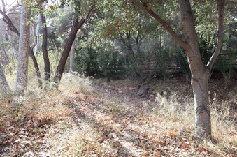 Enlarge photo 236