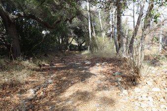 Enlarge photo 237
