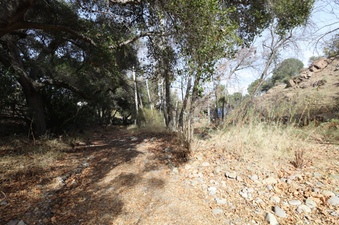 Enlarge photo 238