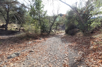 Enlarge photo 239