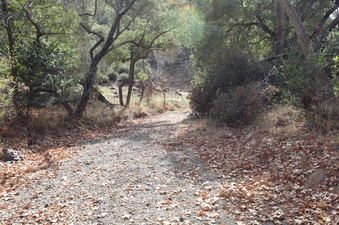 Enlarge photo 240